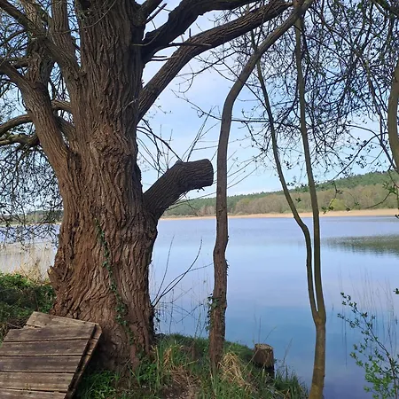Haus Hecht * Lohmen (Mecklenburg-Vorpommern)