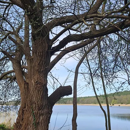بيت للعطل Haus Hecht Lohmen (Mecklenburg-Vorpommern)