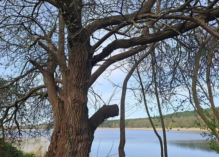 Σπίτι διακοπών Haus Hecht Lohmen (Mecklenburg-Vorpommern)